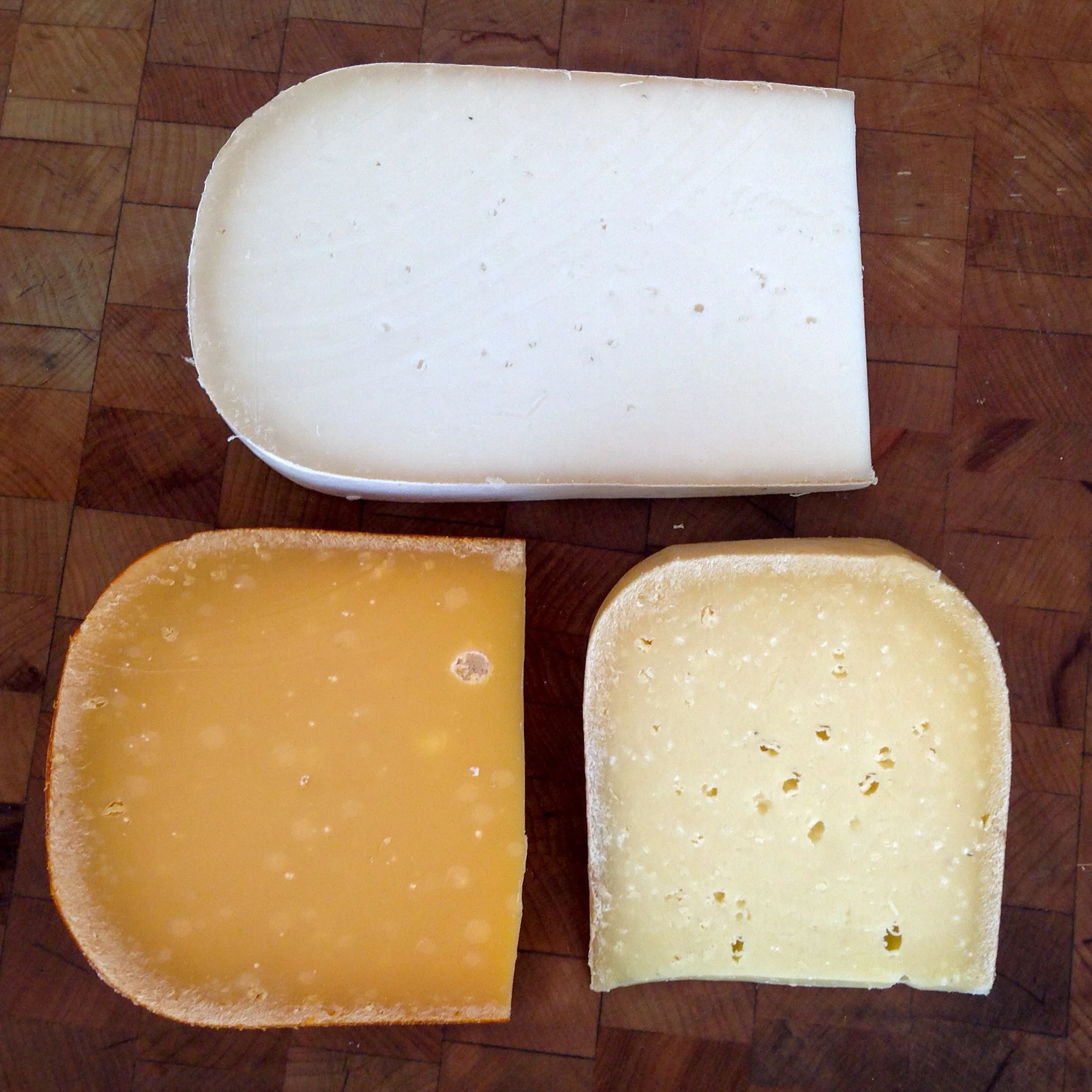 The Gouda Life.jpeg