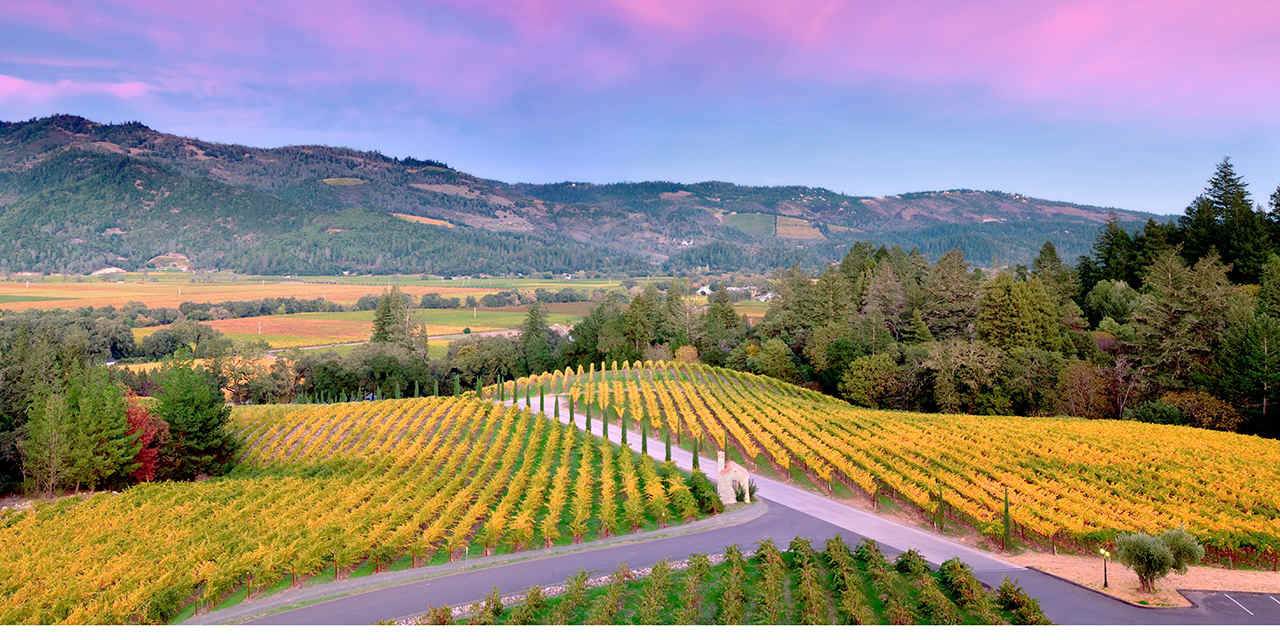 What a sick view of the Napa Valley