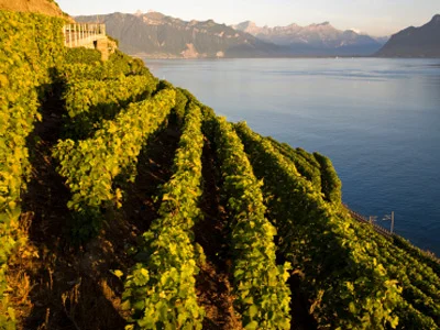 jura-wine-region-1.jpg