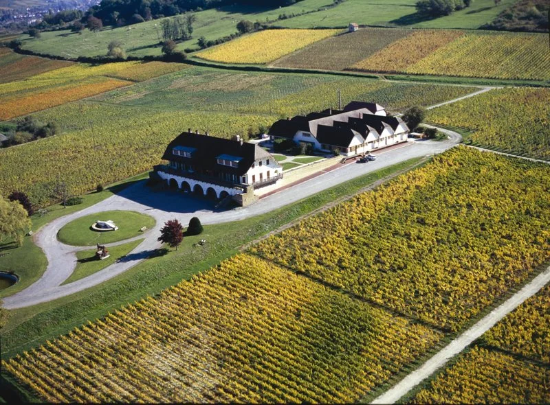 The stately Domaine de la Pinte