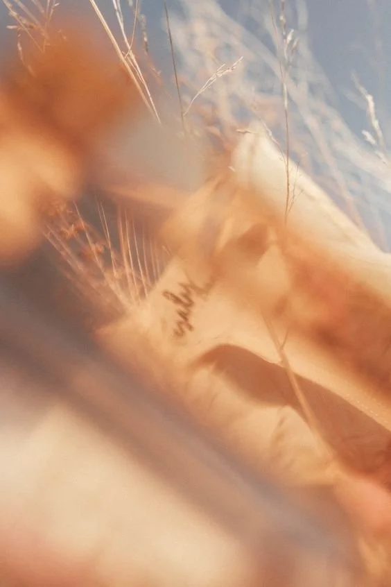 Inner Critic Meditation (RAIN)