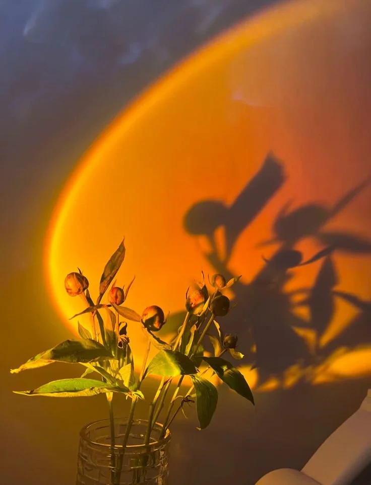 The Seasonal Reset (Greyback Redding)  | March 20