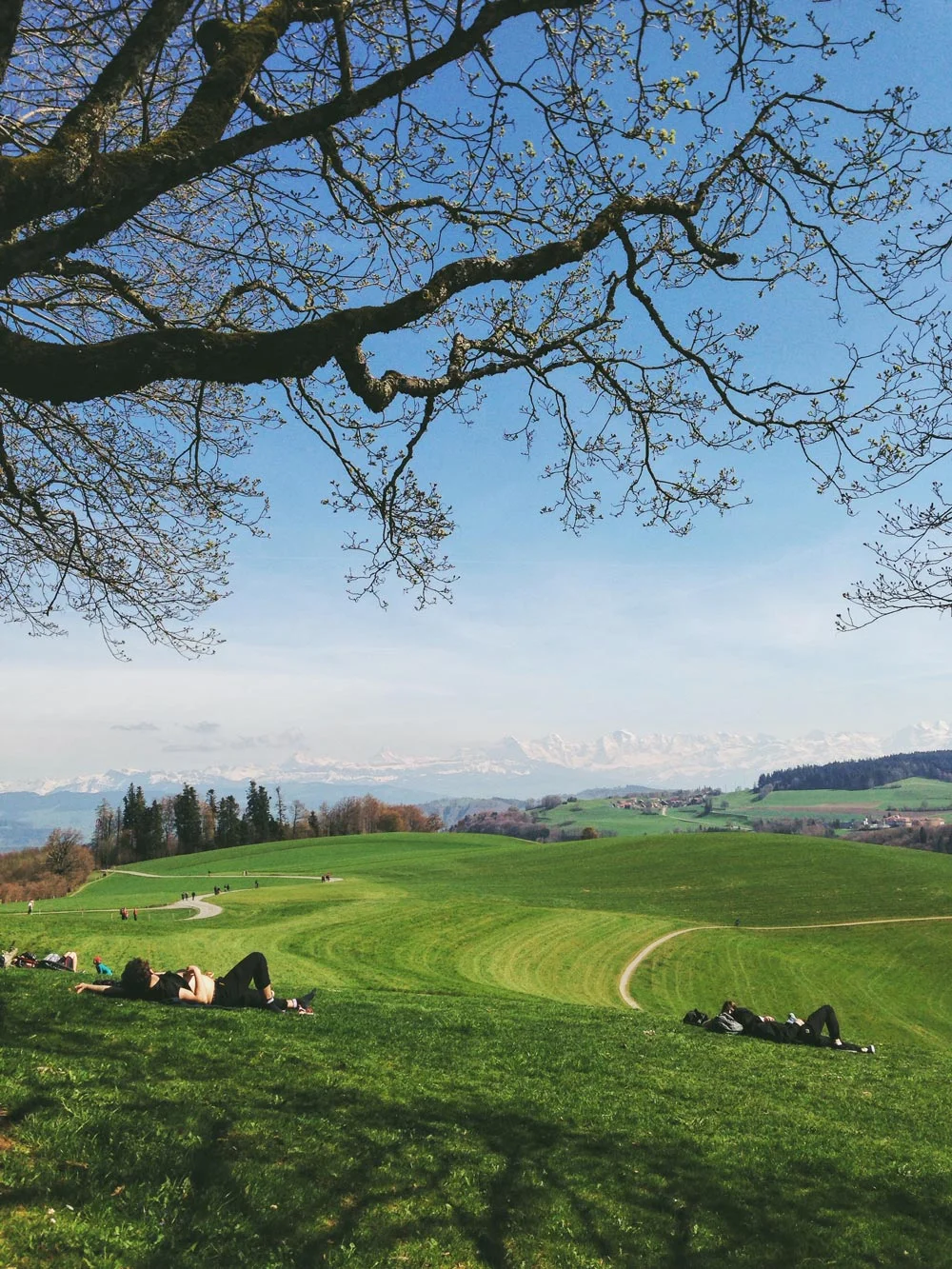 Gurten3_opt.jpg