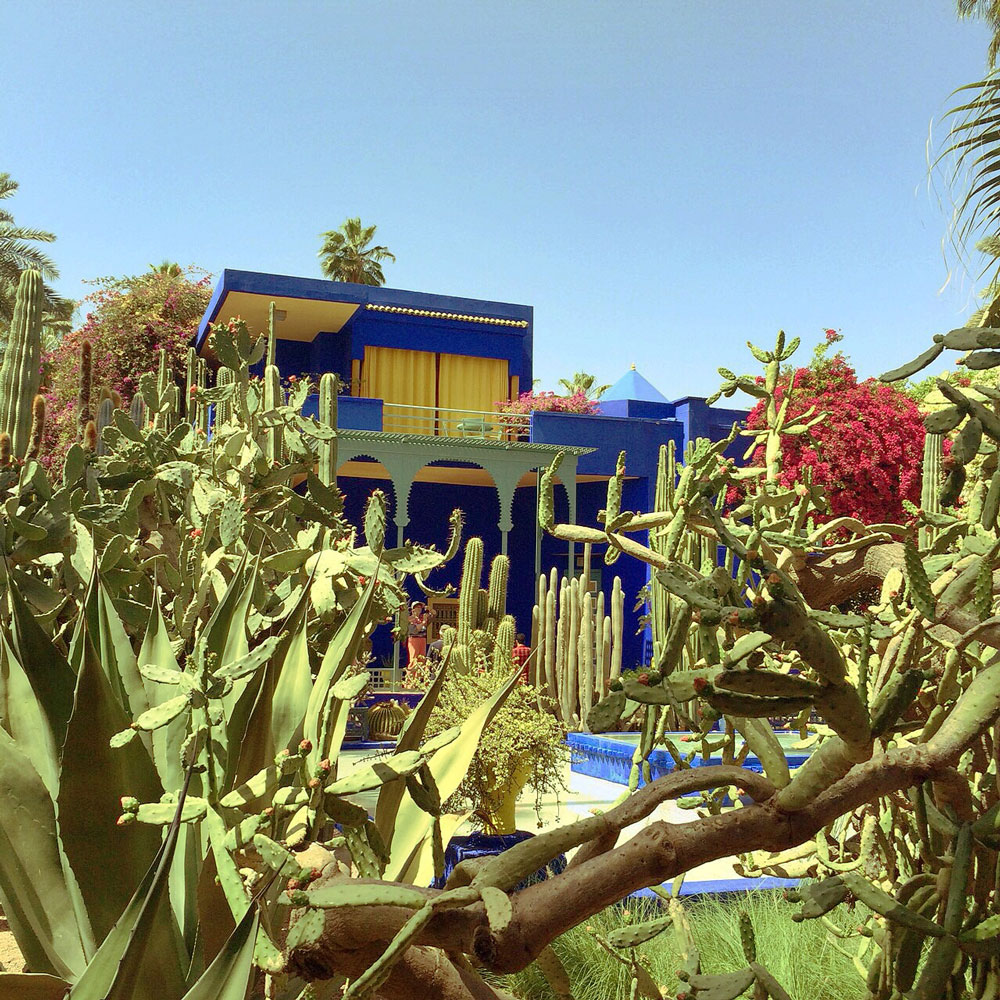 Jardin-majorelle1.jpg