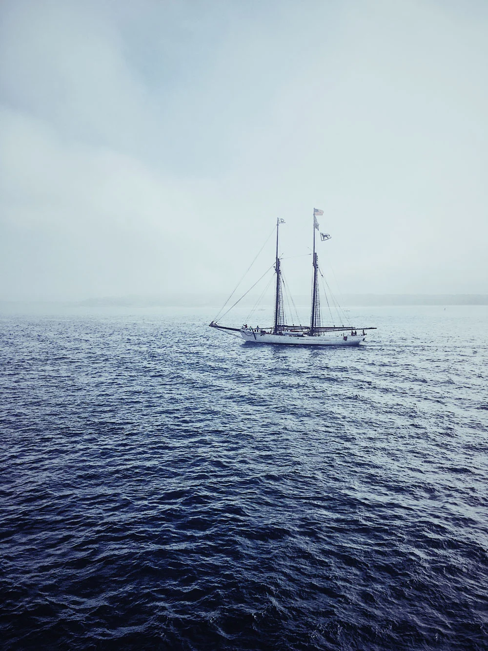 ferry4.jpg
