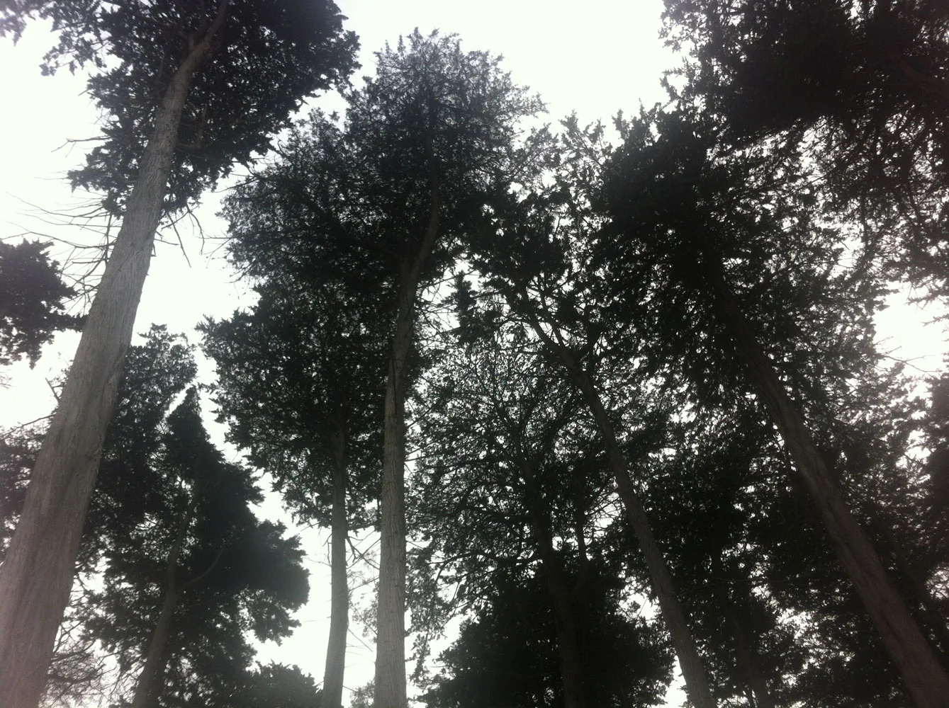 presidio1.jpg