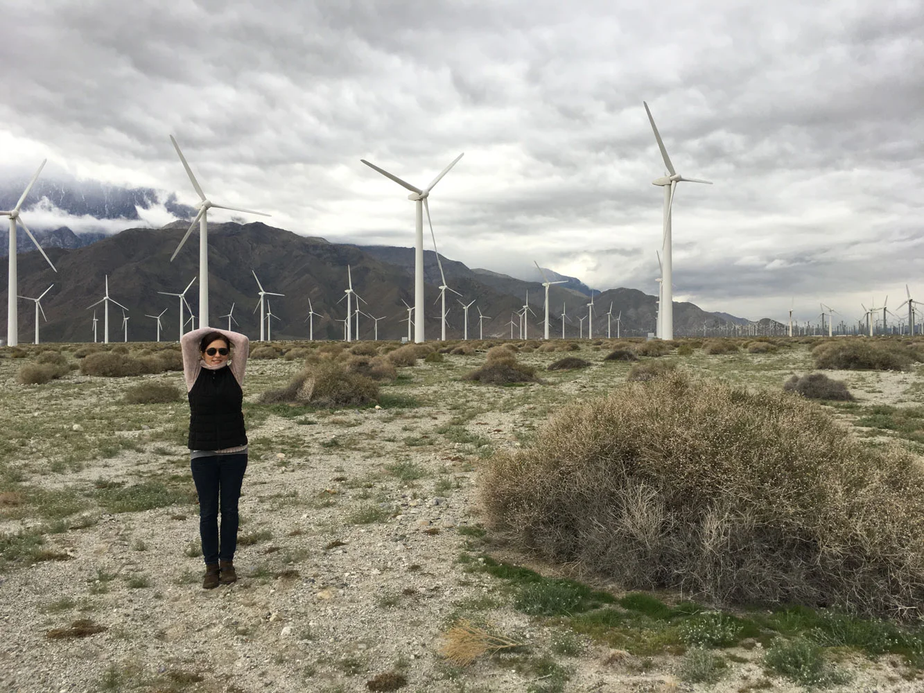 Wind-mills1.jpg