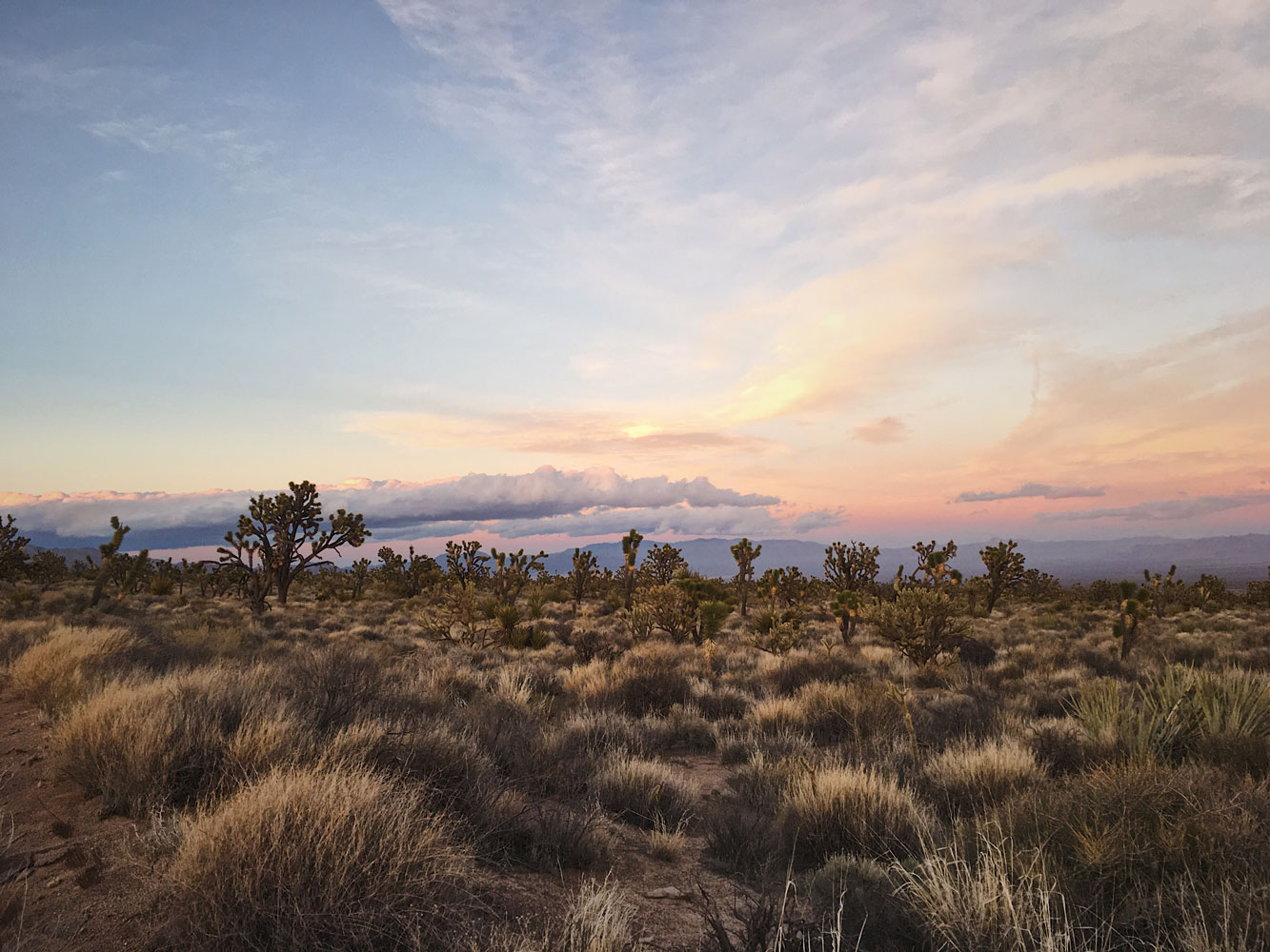 mojave3.jpg