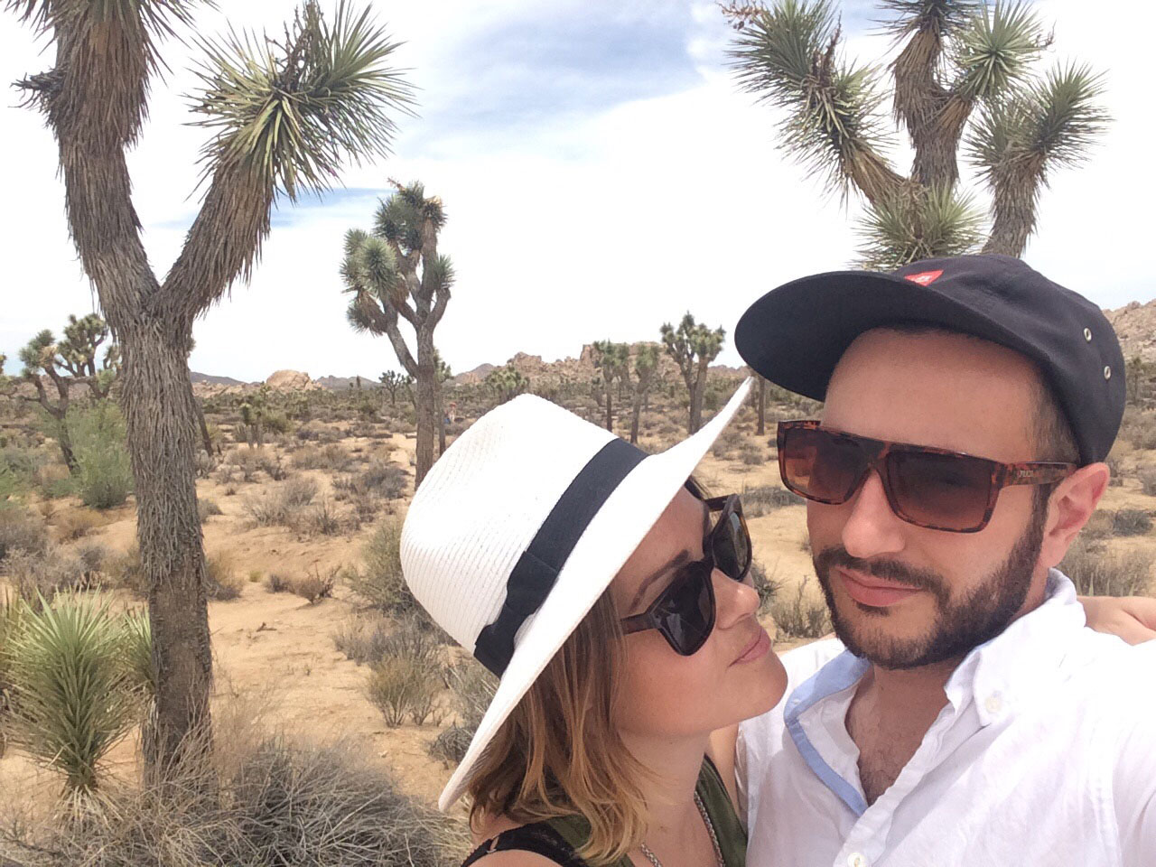 joshua-tree1.jpg