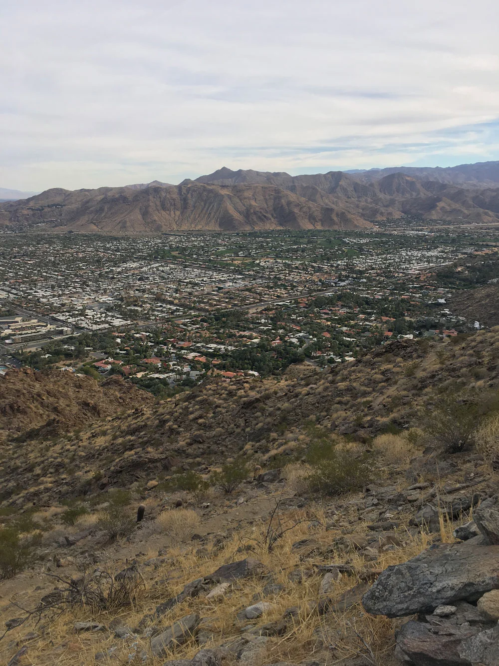 palm-springs.jpg
