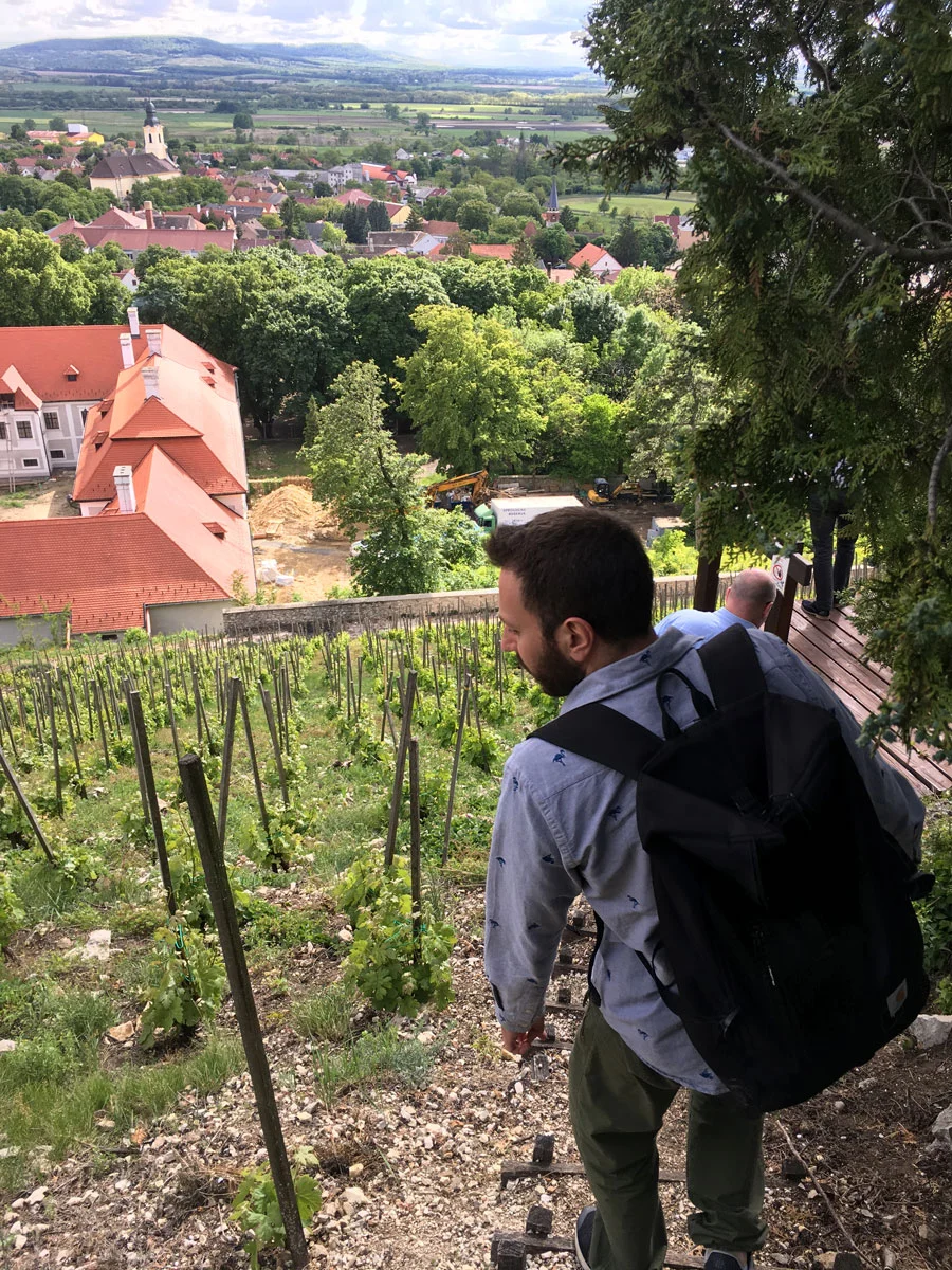 hungarian_wine1.jpg