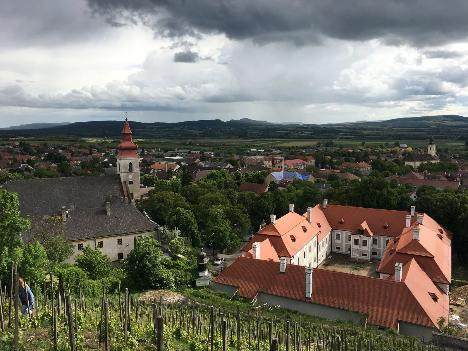 hungarian_wine3.jpg
