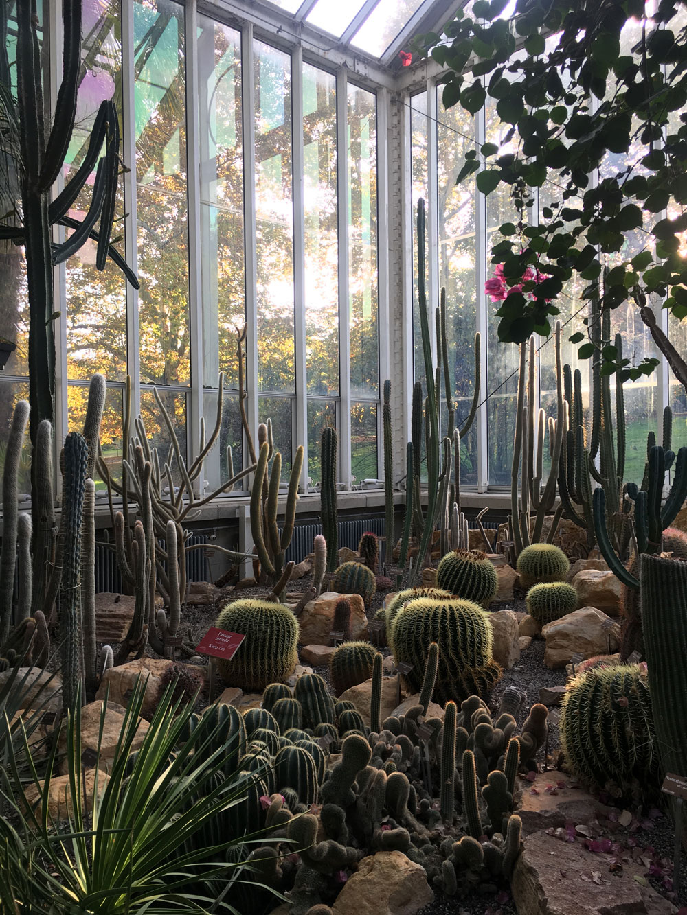 botanical_garden4.jpg