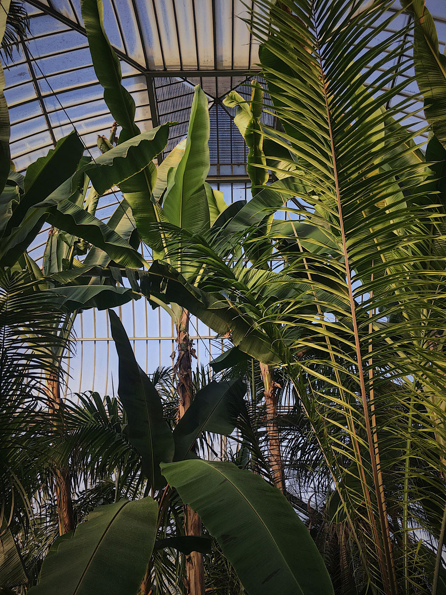 botanical_garden3.jpg