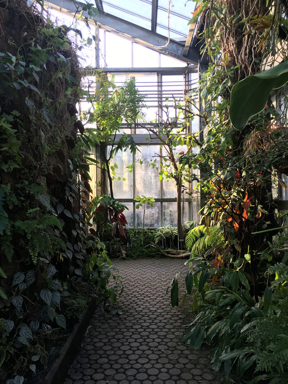 botanical_garden7.jpg