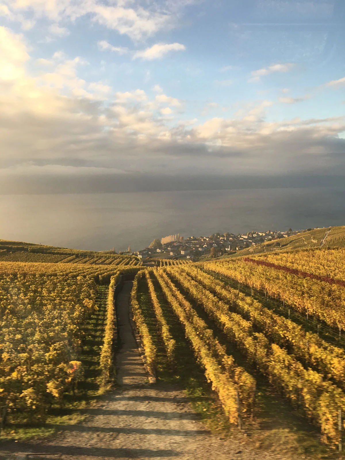 geneva_commute4.jpg