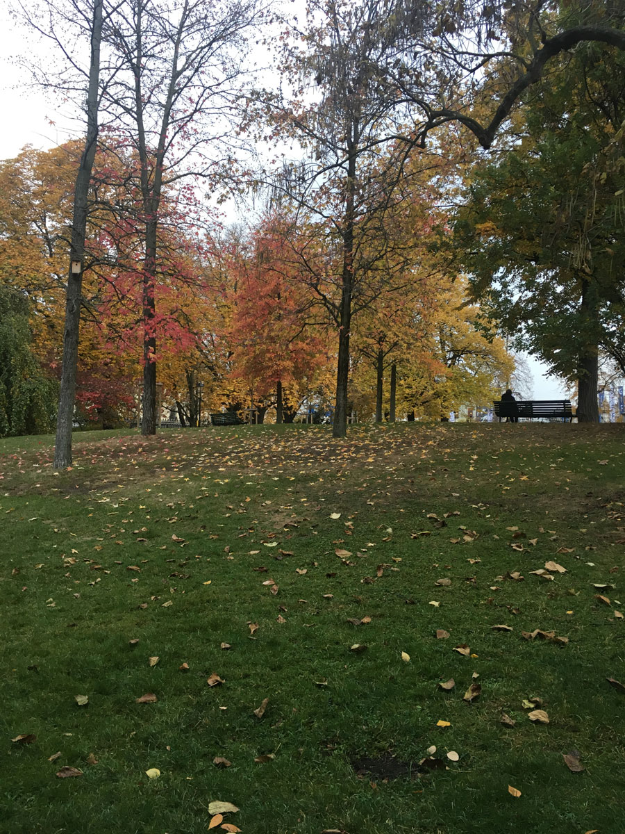 Geneva_park.jpg