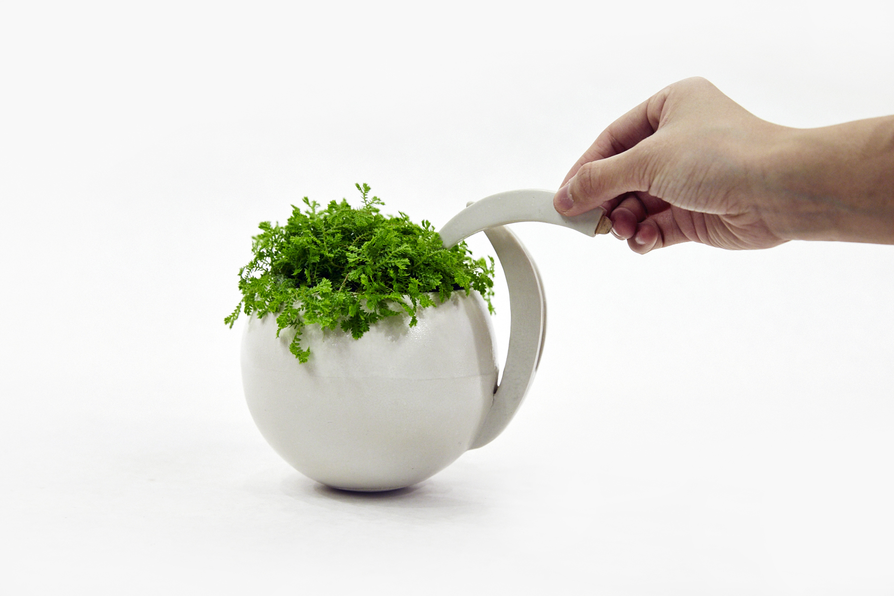 Animal Meditators: Planter