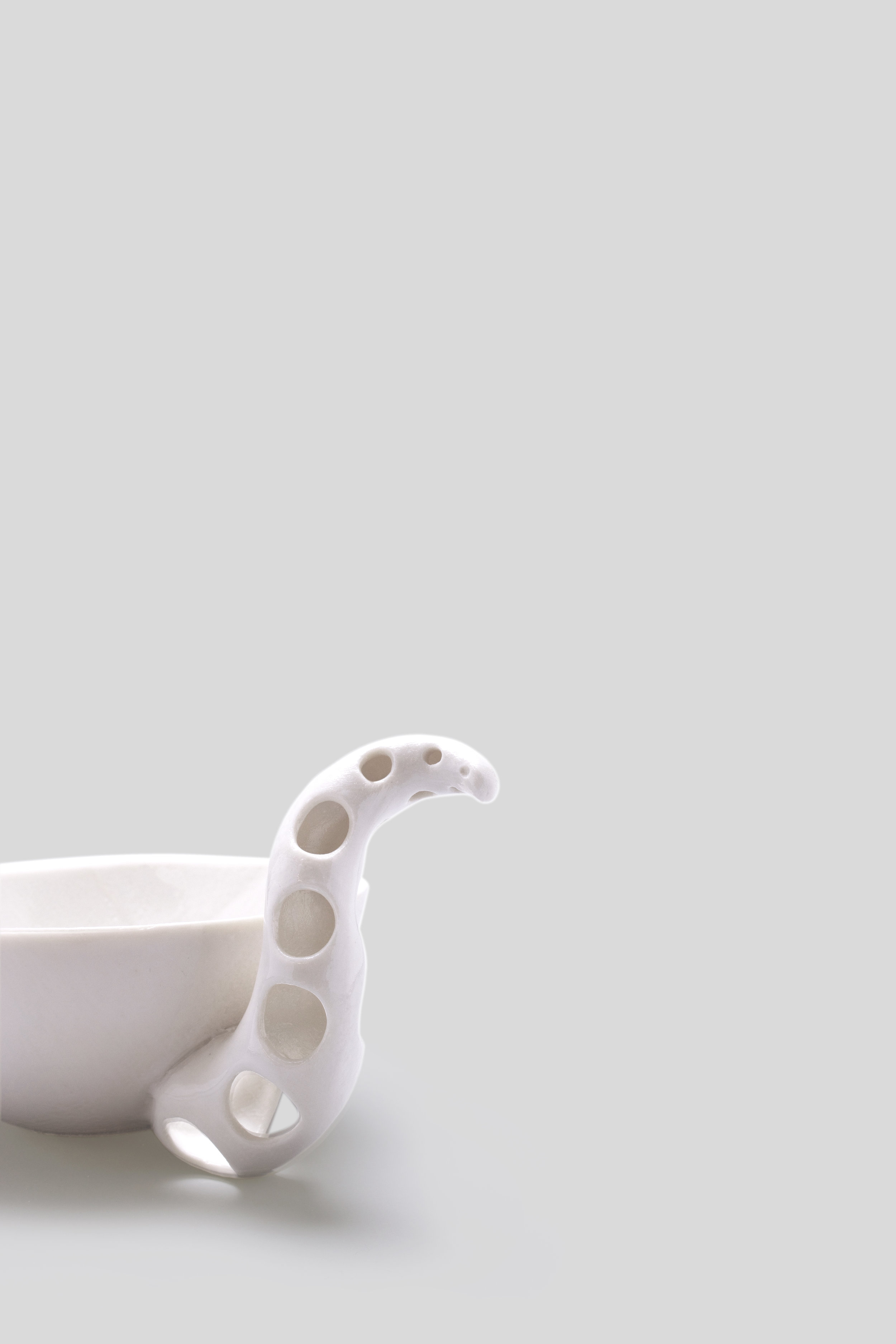 squid close up final.jpg