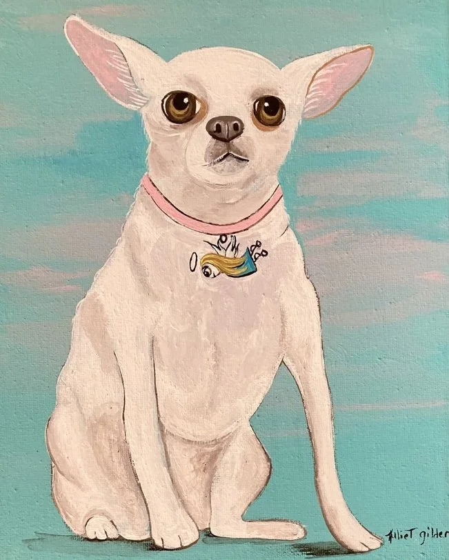 White_Chihuahua_With_Angel_Collar.jpeg
