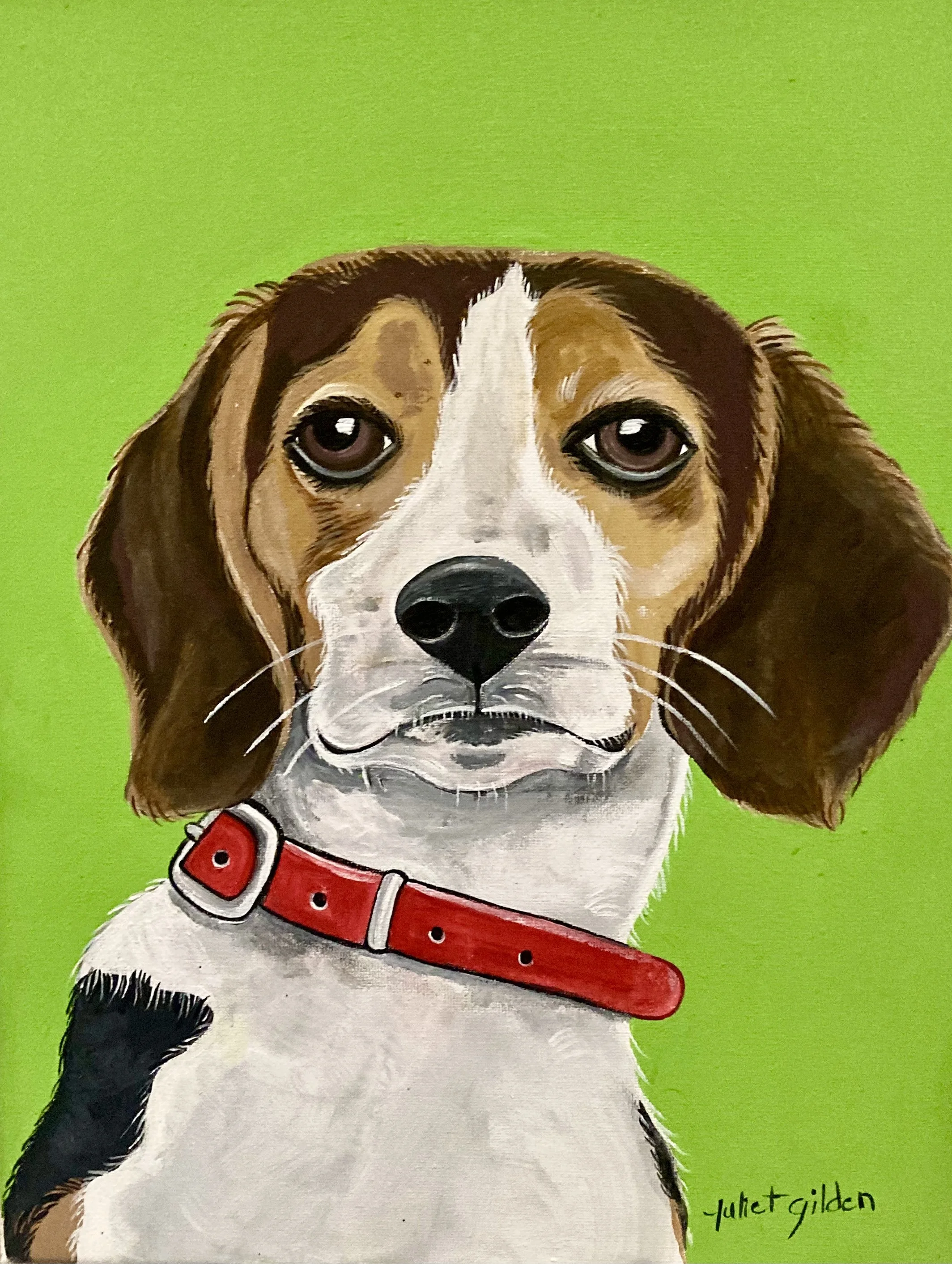 Beagle Dog