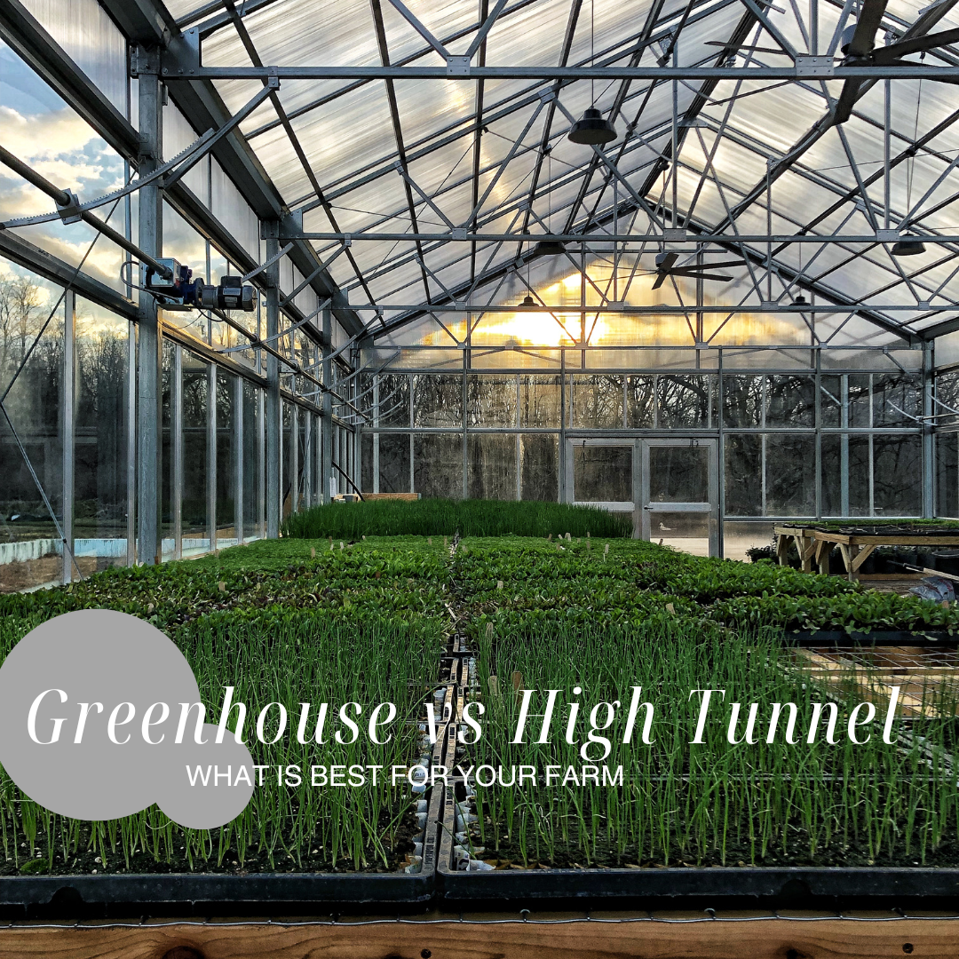 Greenhouses vs. High Tunnels 