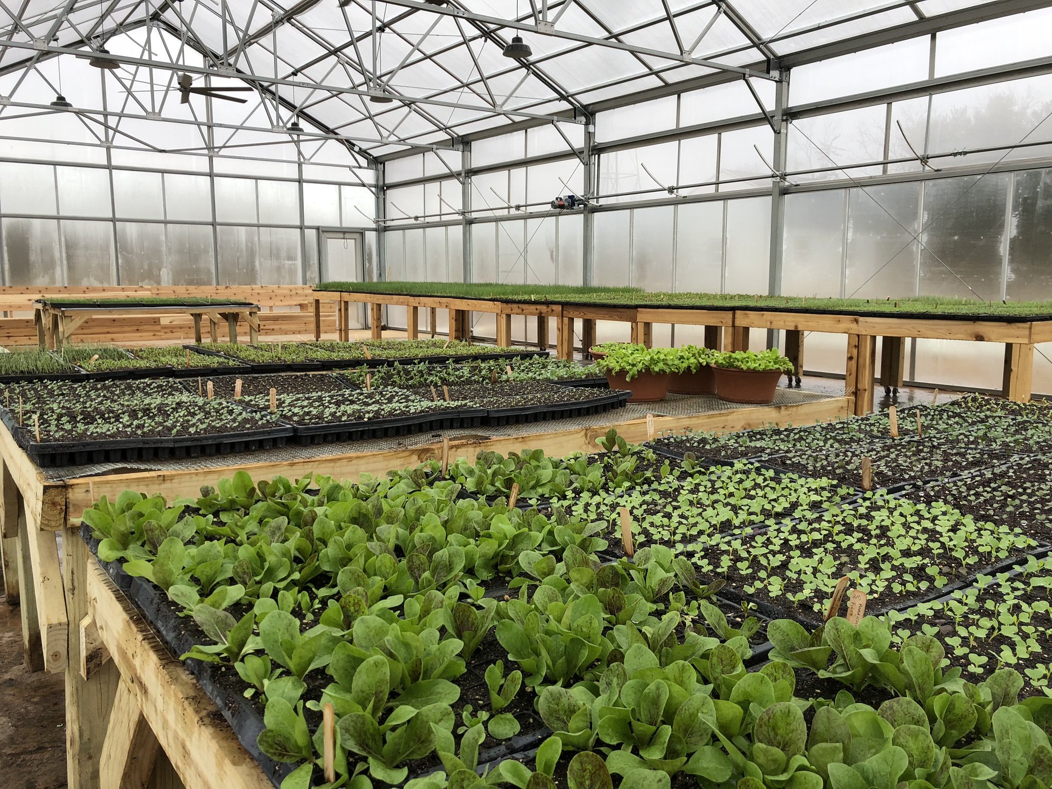 Greenhouse Design