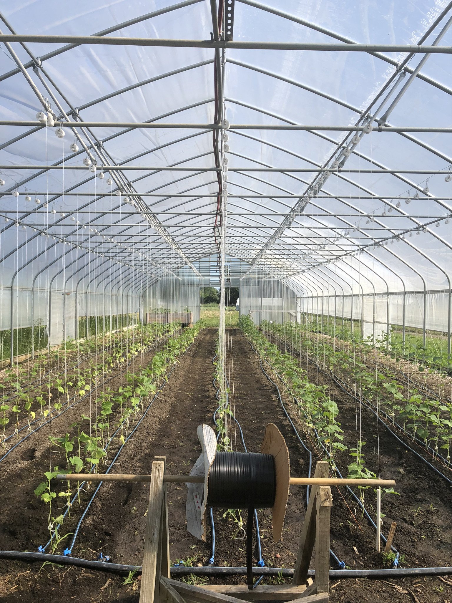High Tunnel Design