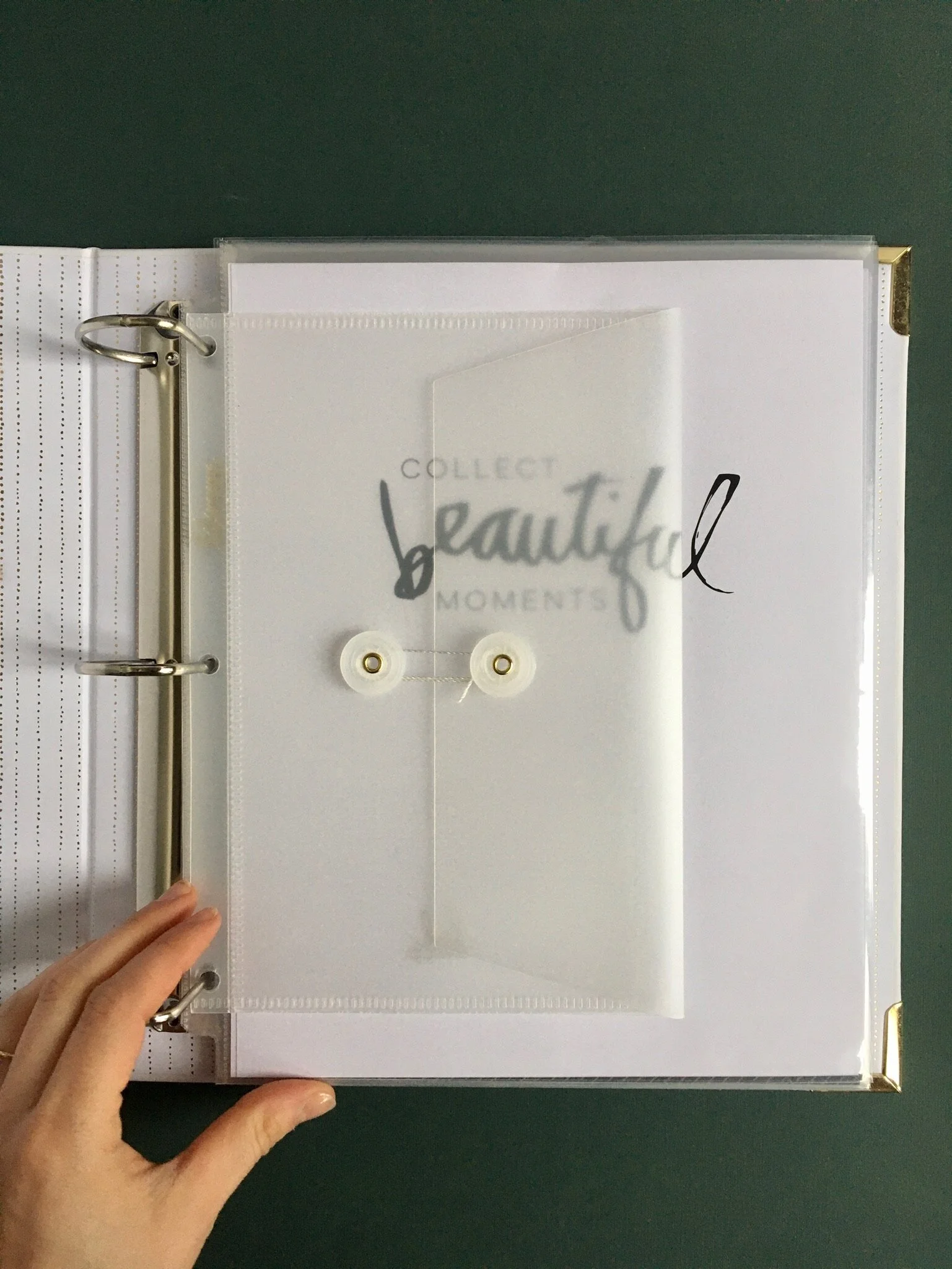 91D62B1F-B9D9-4E4F-A3DB-9C41A7AA19E5