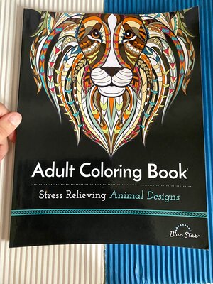 Adult Adult Coloring Books for Stress Relief Coloring Book for Girls Doodle  Cutes by Adult Adult Coloring Books for Stress Relief, Paperback, Indigo  Chapters