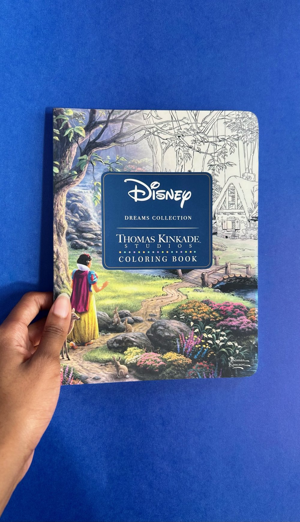 Disney Dreams Collection - Thomas Kinkade Studios Coloring Book