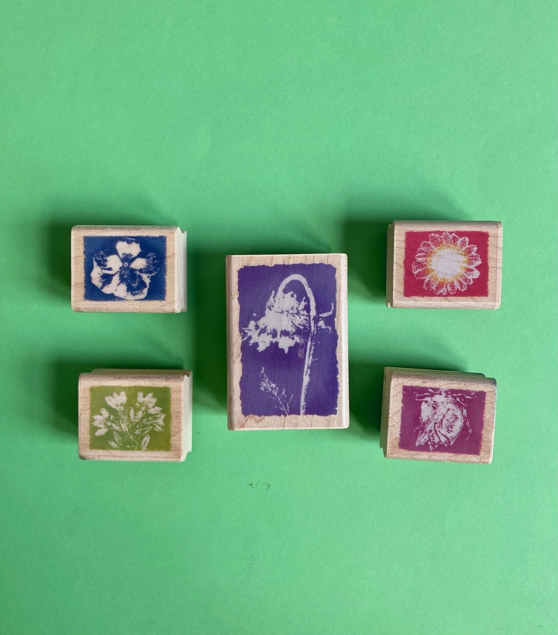 Fruit & Leaf Stamps — Indigo Hippo