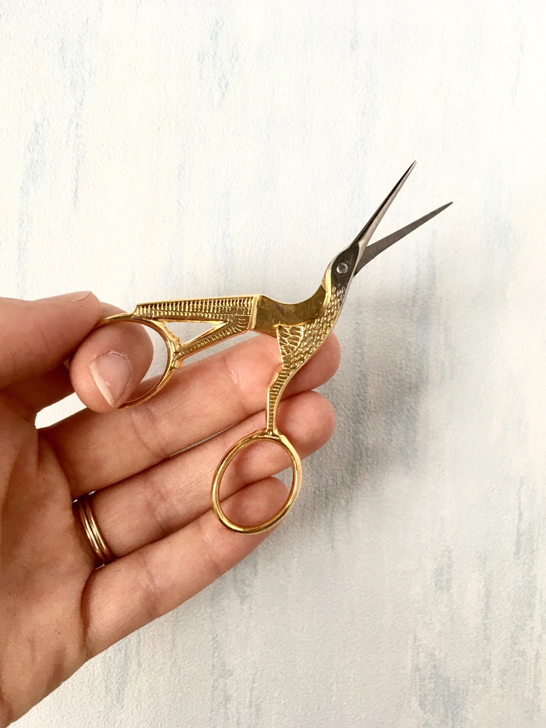 53FB0583-ED86-46B4-BE7F-06E6C4EA5287