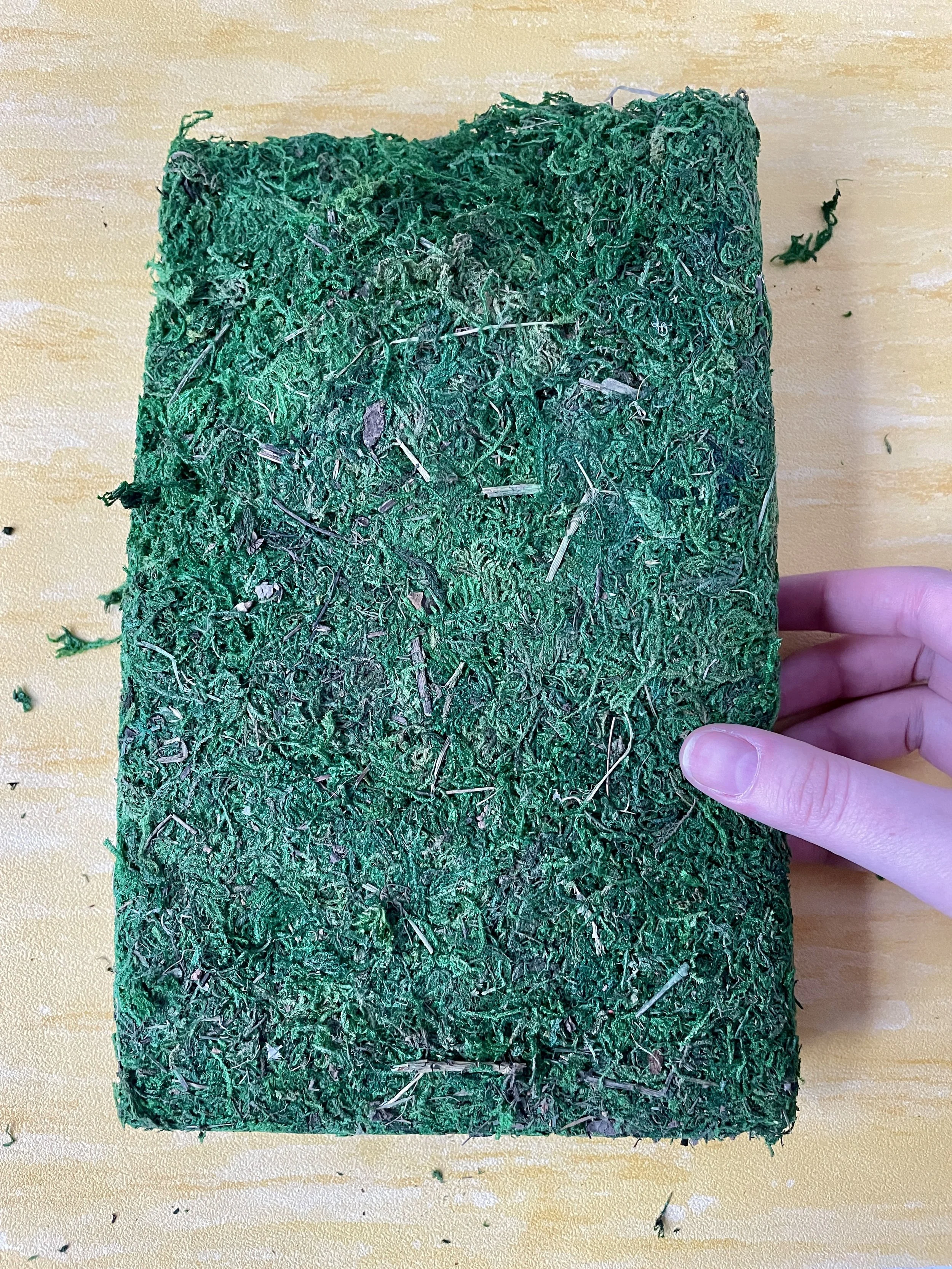 Farmoo Artificial Moss