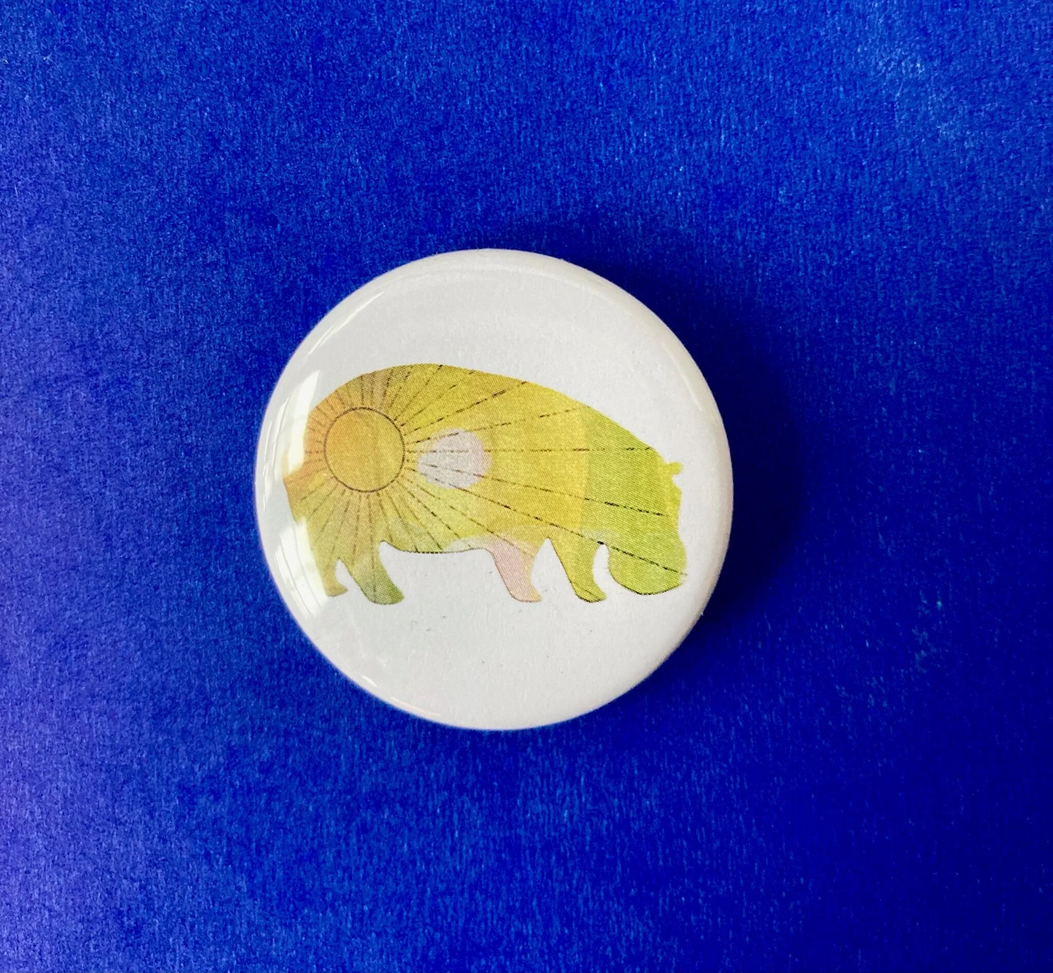 AC2F917F-91E0-4AD0-A964-FA80956C89B4