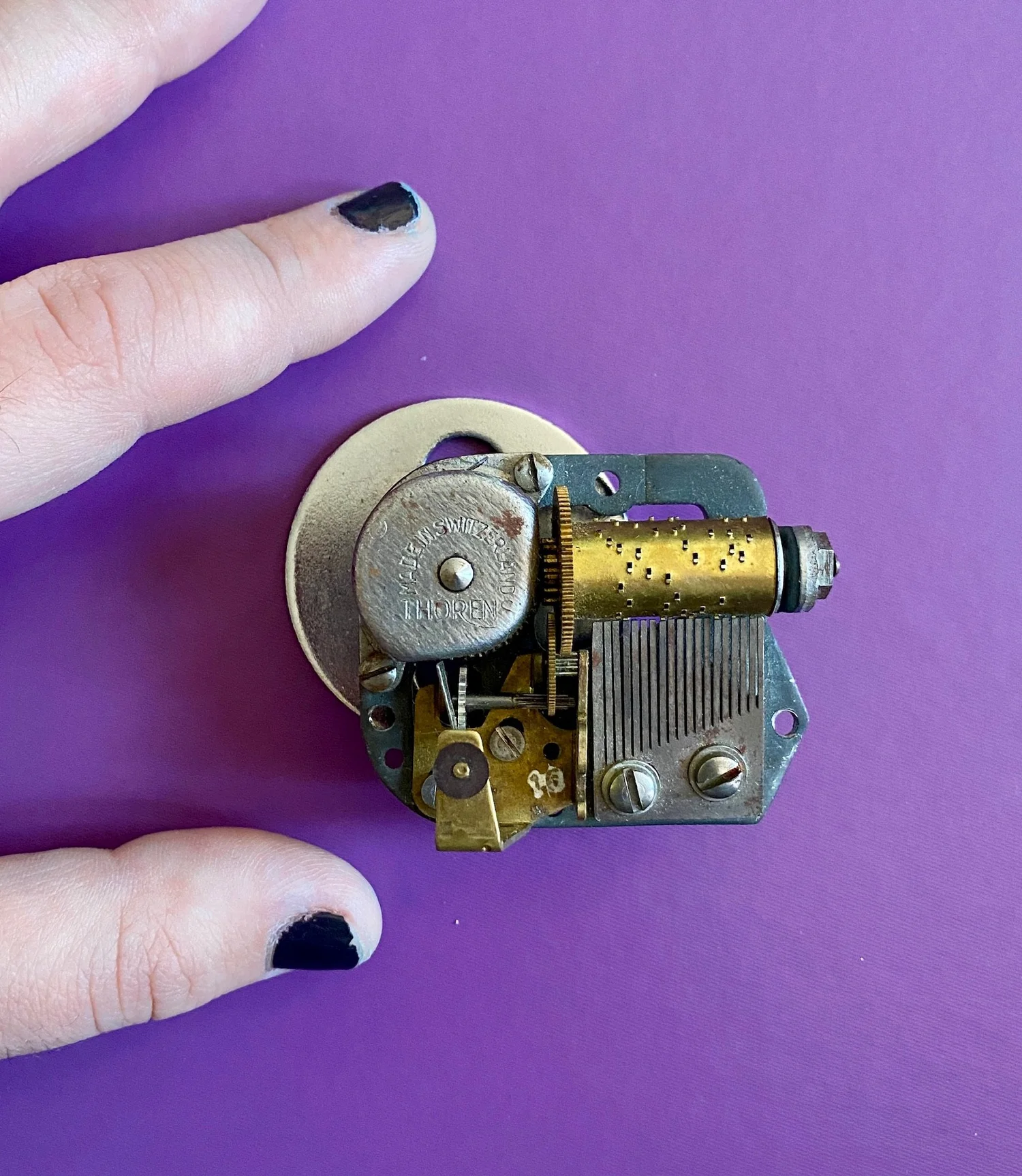 Thorens Swiss-Made Music Box Component — INDIGO HIPPO
