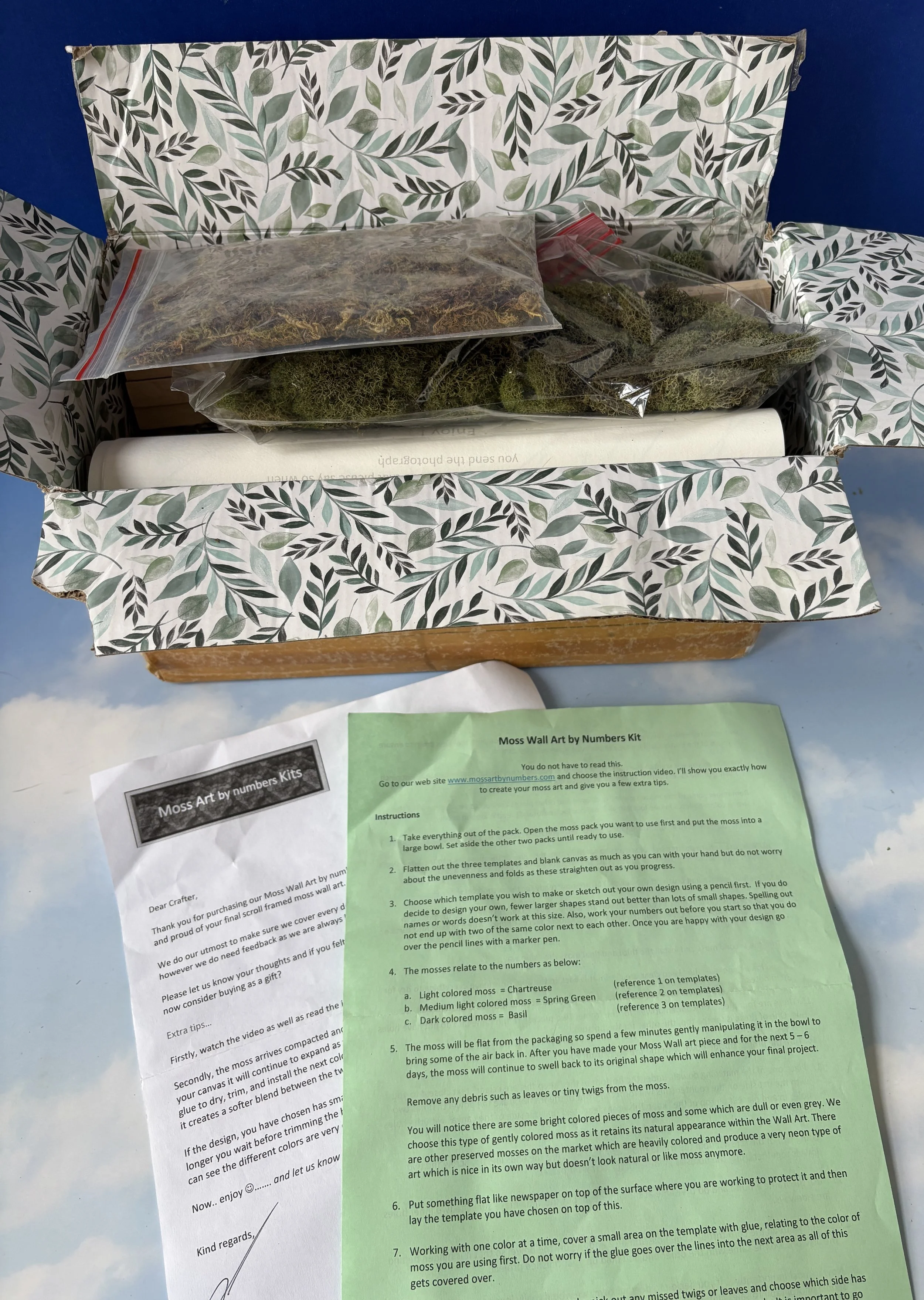 Moss Art by Numbers Kit
