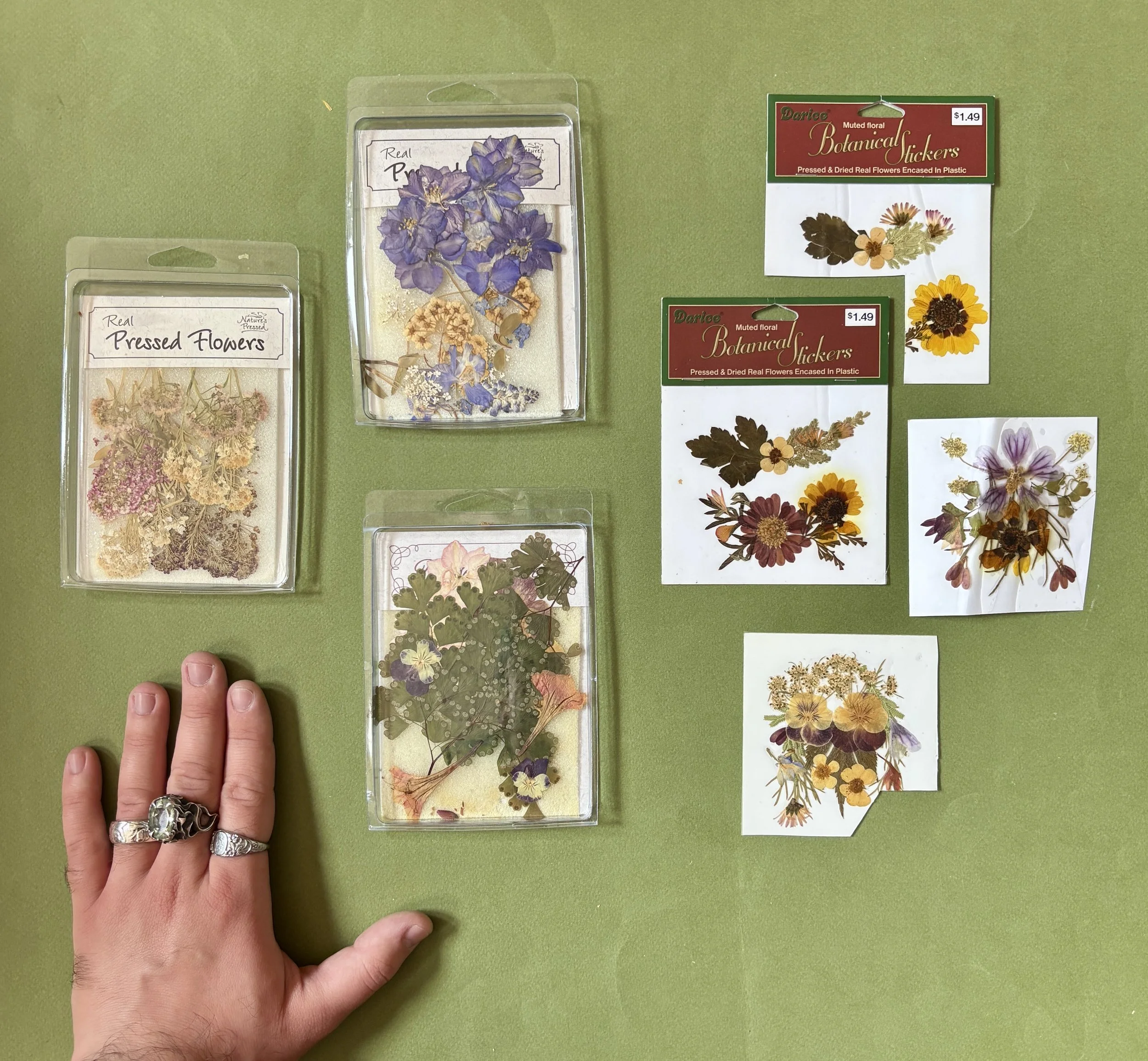 Real Pressed Flower Packs