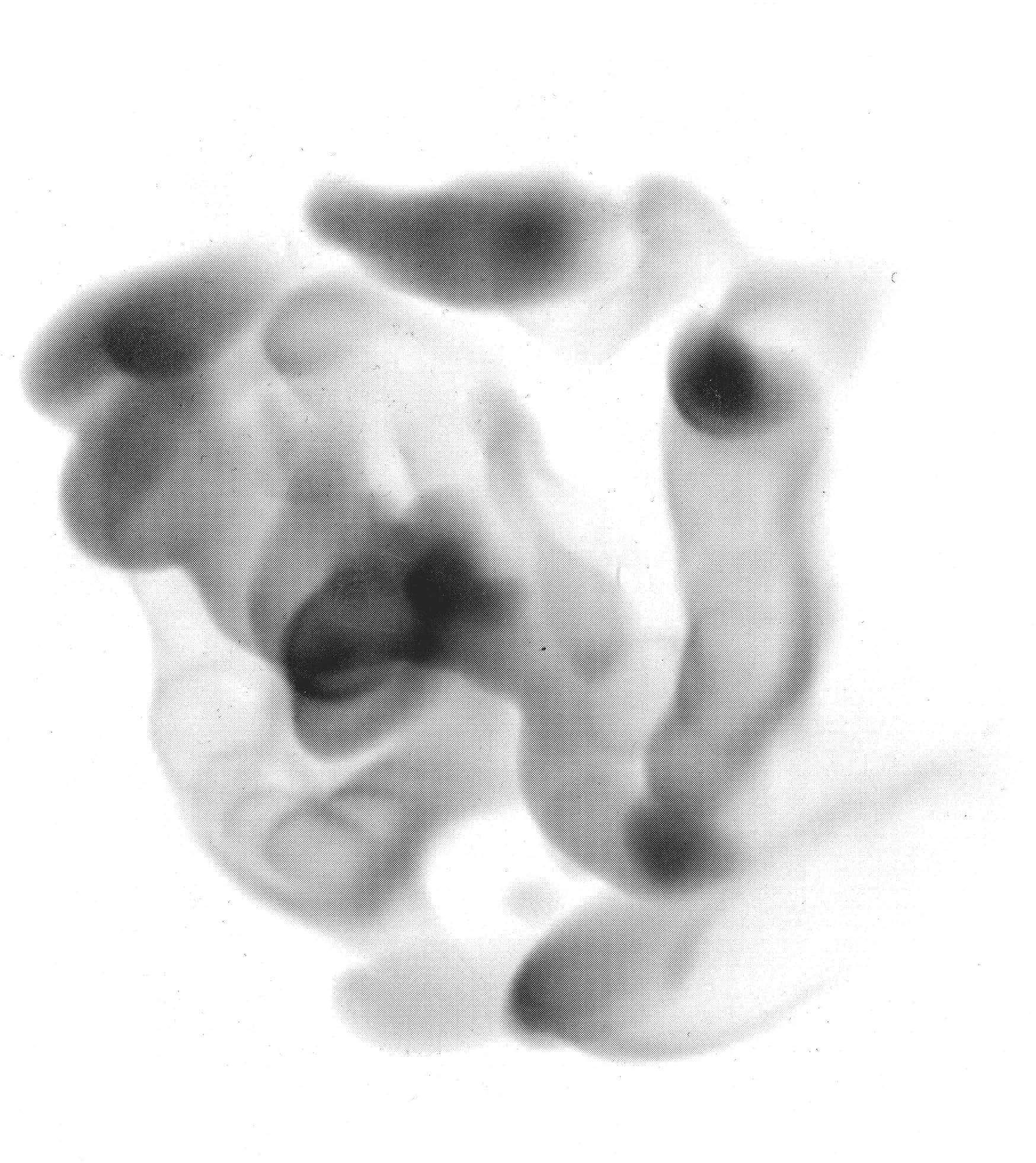 Layout 1.jpg