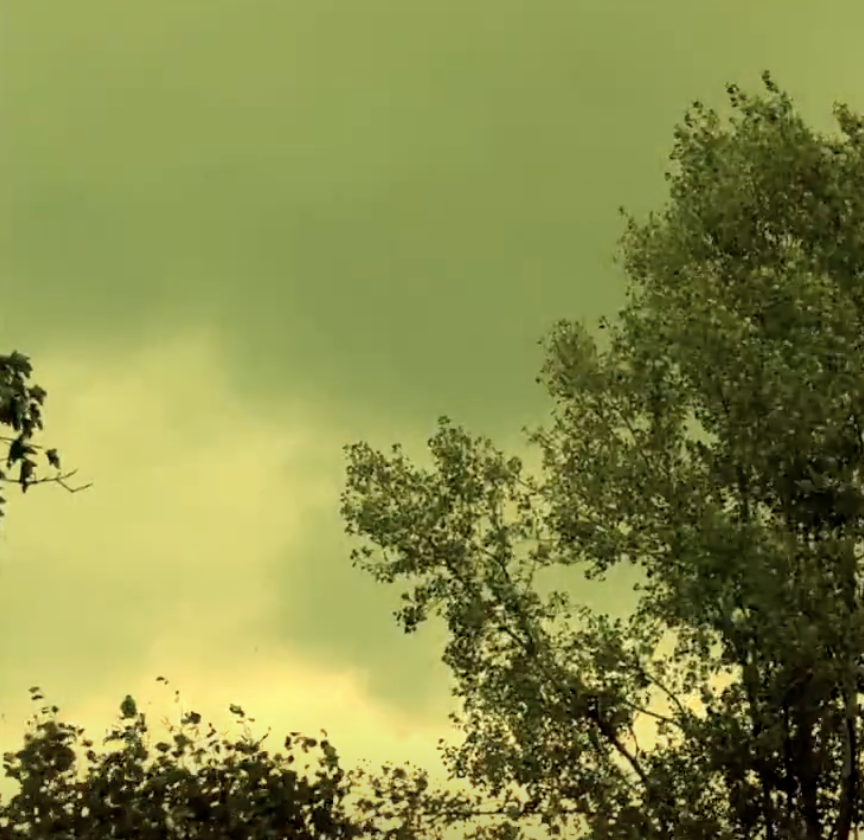 Green Wind