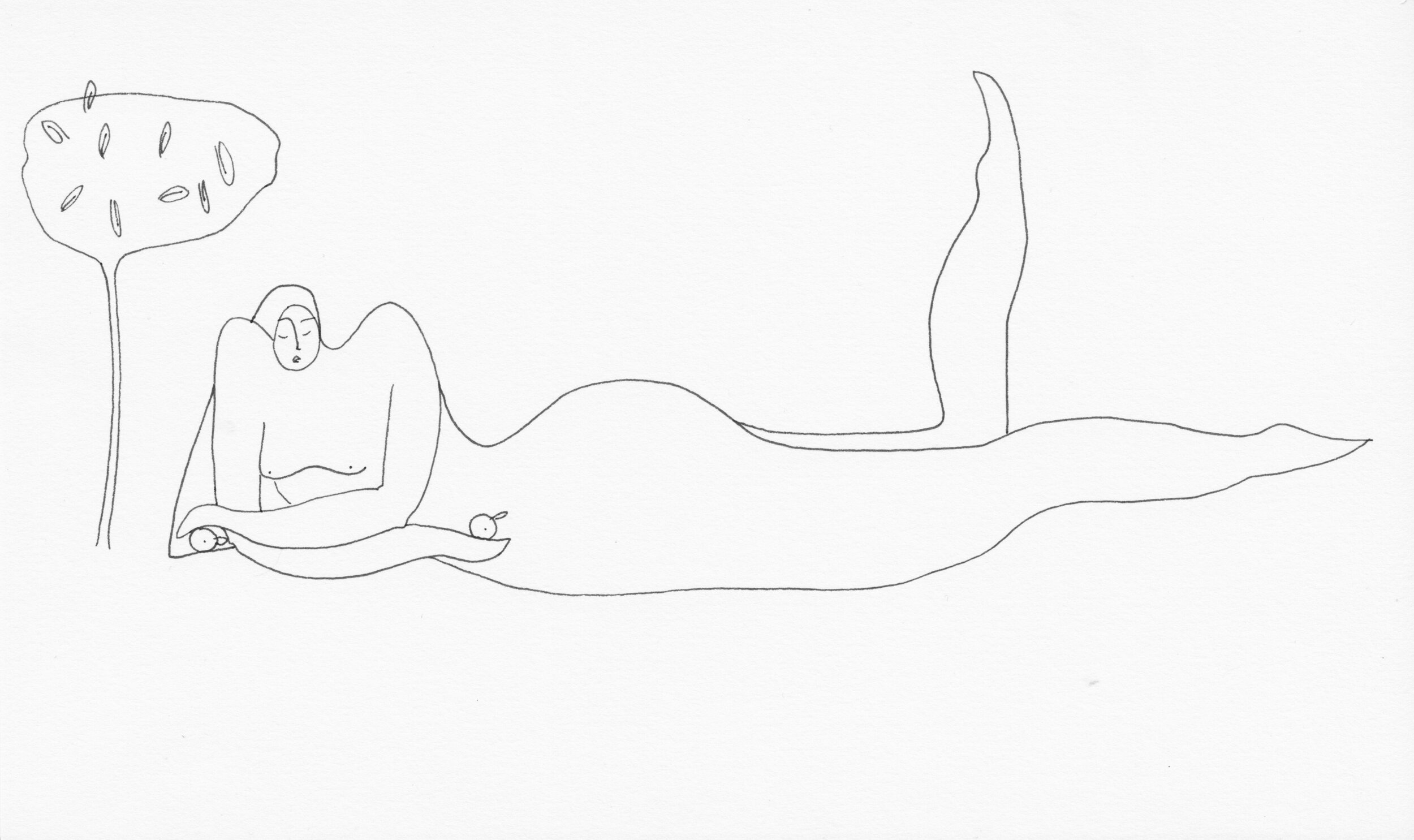 Orange Tree Pen on Paper