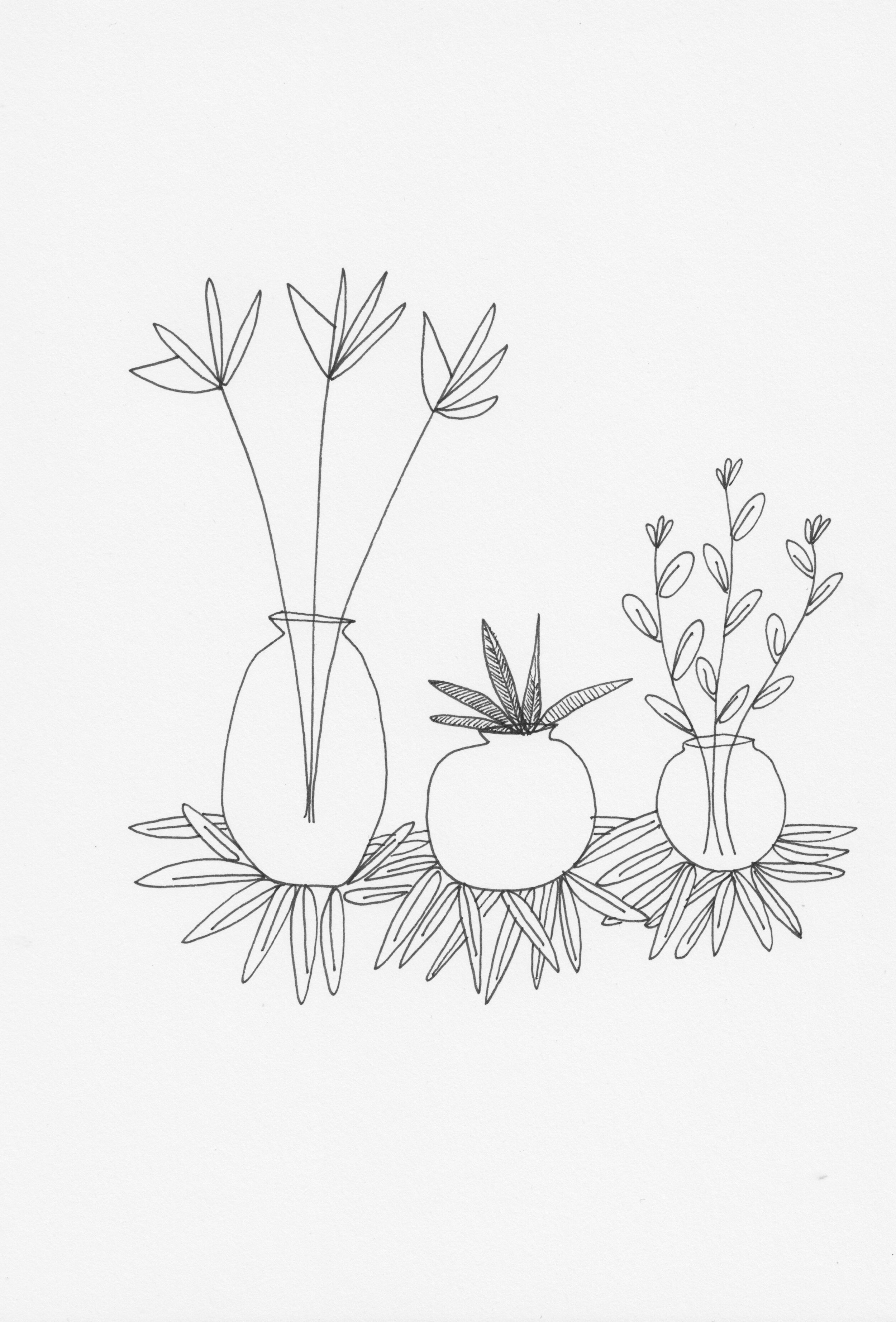Three Vase Pen on Paper