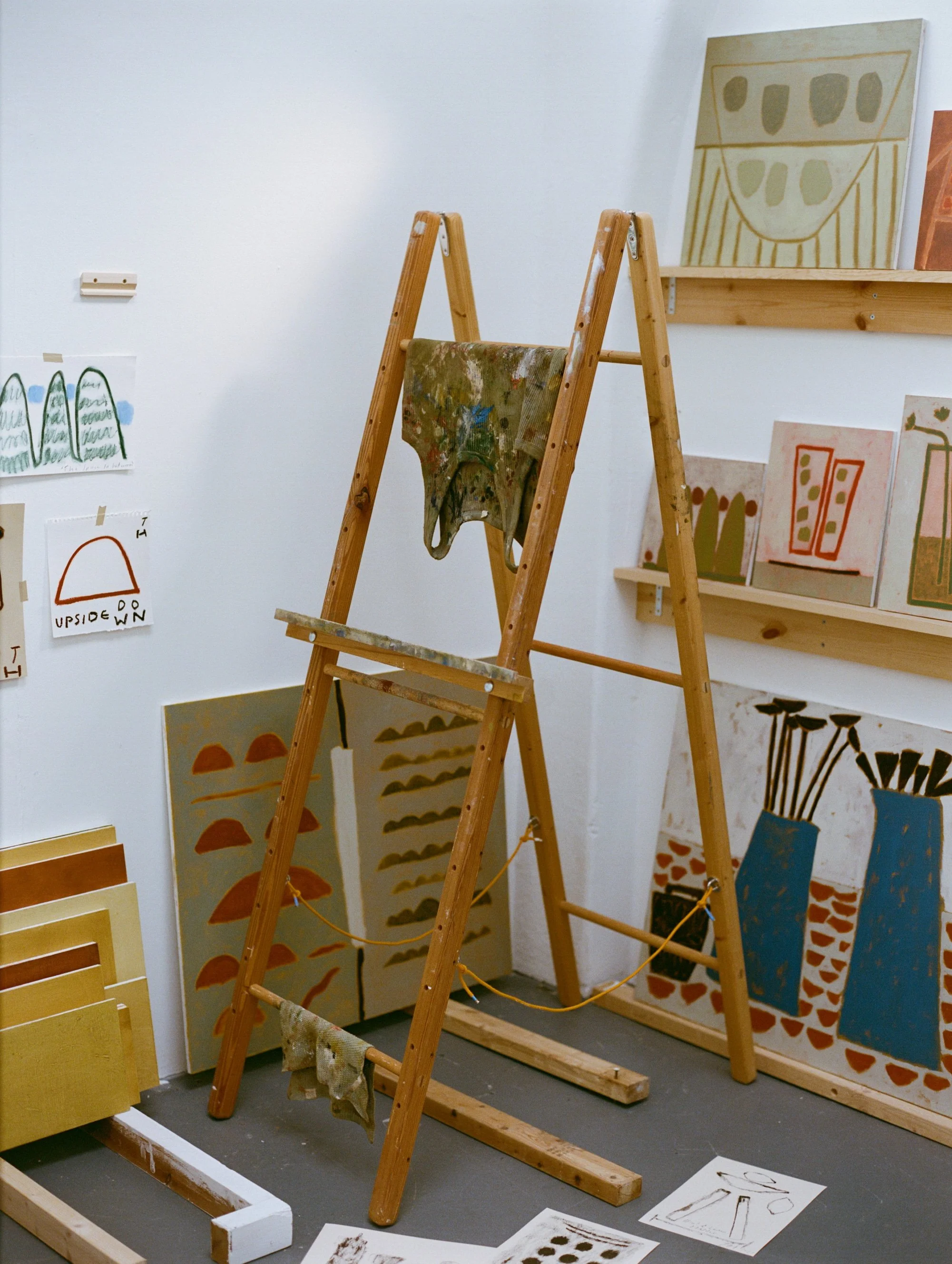 Studio 2026 | 120 film by Sophie Davidson