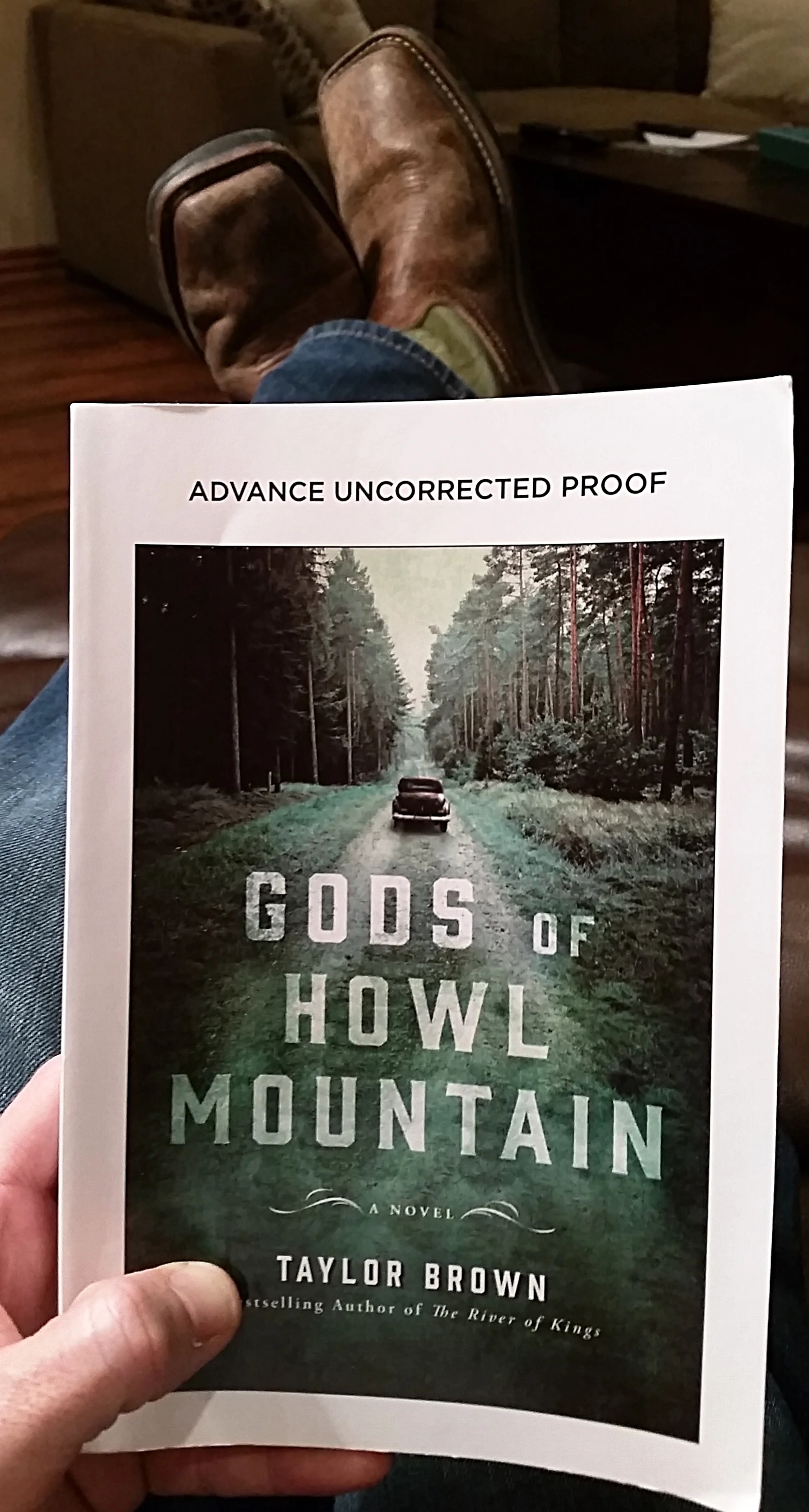 Gods of Howl Mountain Cover Picture by andhereads.jpg
