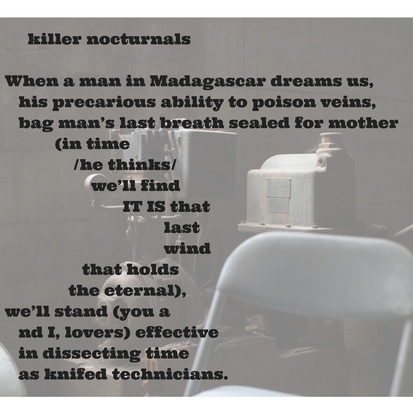 killer nocturnals.jpg