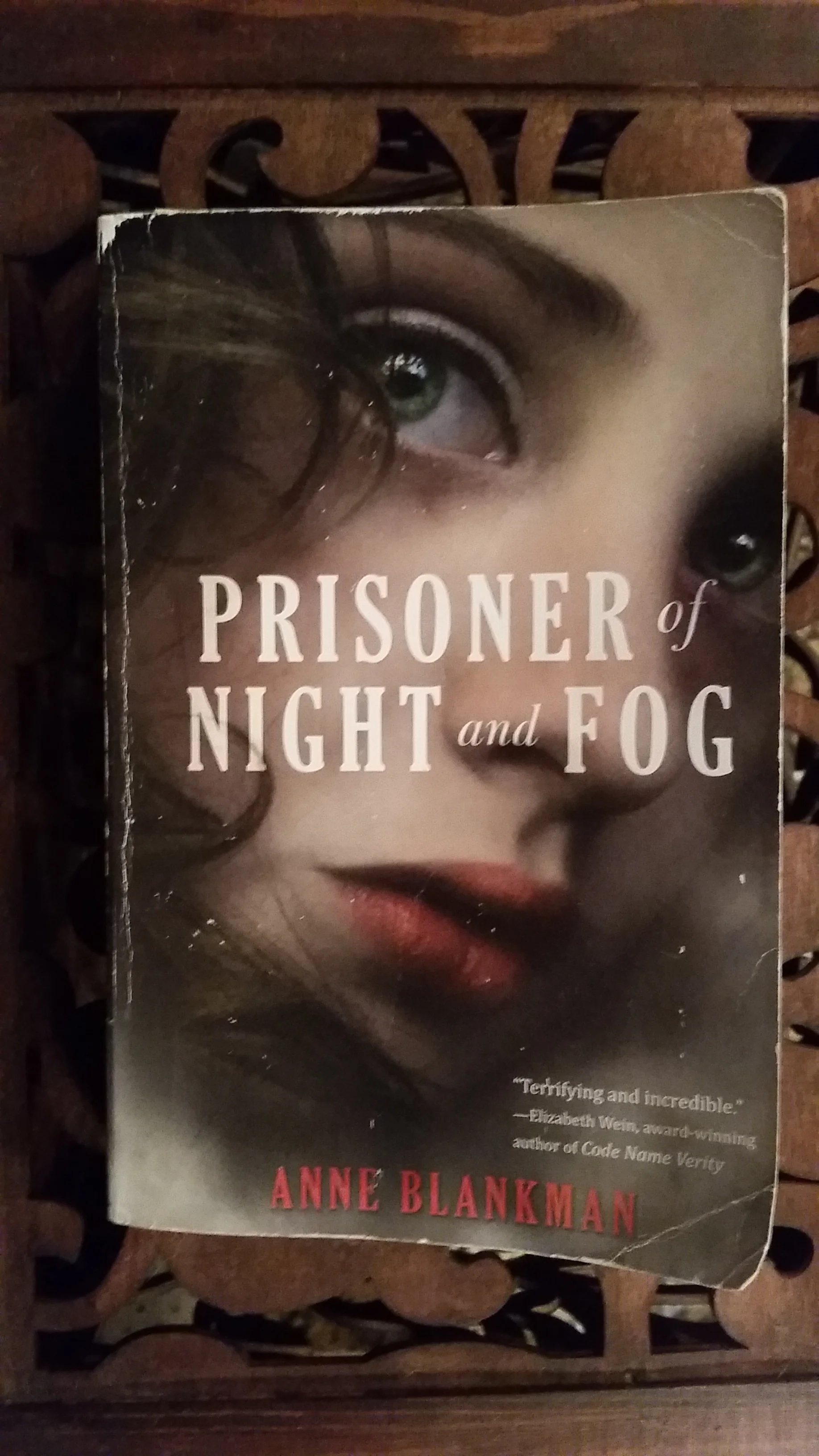 Prisoner of Night and Fog Cover Photo.jpg