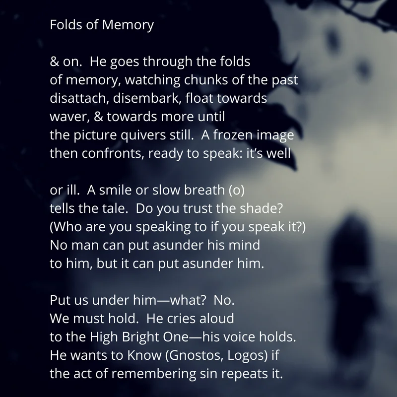 Folds of Memory.jpg