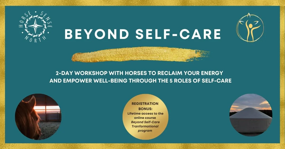 BEYOND SELF-CARE - 2-day workshop with horses to reclaim your energy and empower well-being