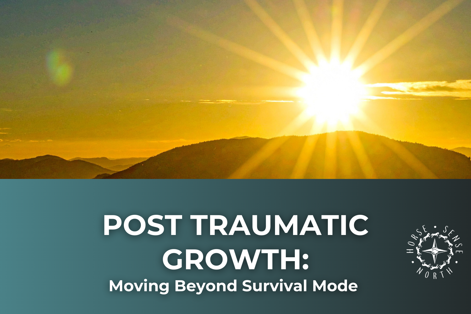 Post-Traumatic Growth:  Moving Beyond Survival Mode [FREE virtual workshop]