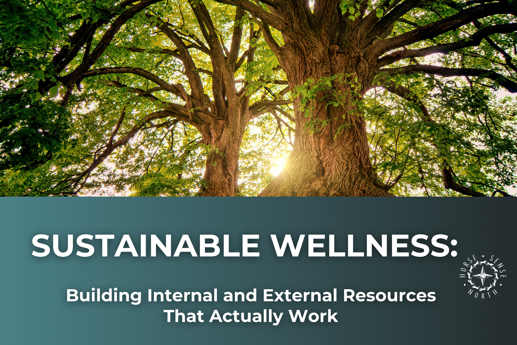 Sustainable Wellness: Building Internal and External Resources That Actually Work [FREE virtual workshop]